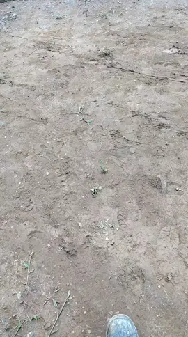 a falta do conhecimento é foda! futuro soldador da N/S