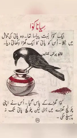 #🖤🖤🖤❤❤❤💚💚💚 