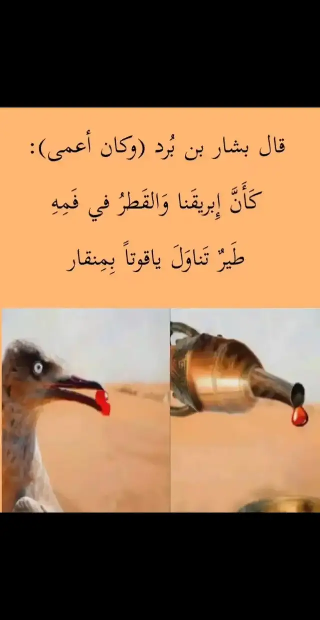 #ابيات_شعر #new #ابيات_شعر #new #fypシ゚ 