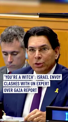 Israel's UN representative Danny Danon described Special Rapporteur for the Occupied Palestinian Territories Francesca Albanese as a 'witch' in an explosive session in New York on Wednesday. 