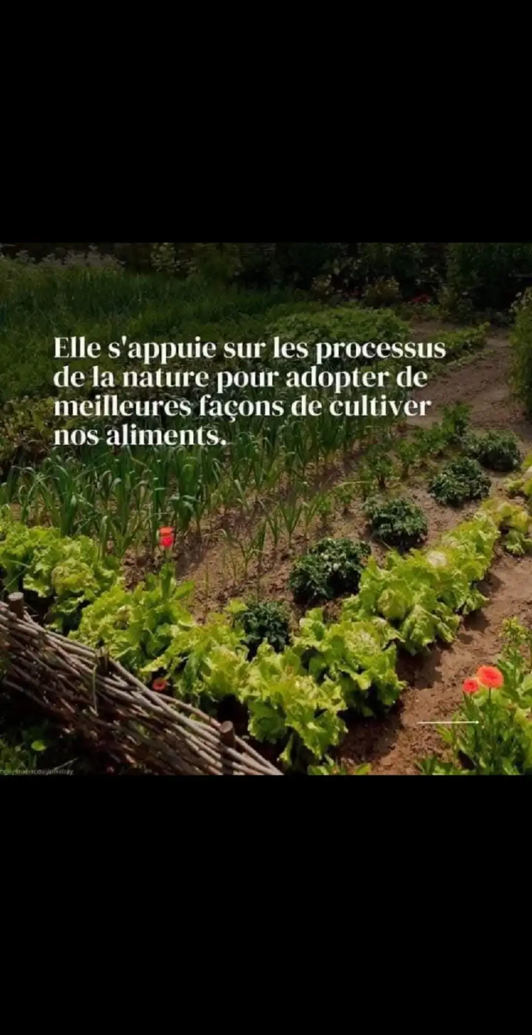 #الفلاحة #الفلاحة_المغرب #الفلاحة المستدامة #الفلاحة♥️💪 #المثمر @coop karam taghrast 