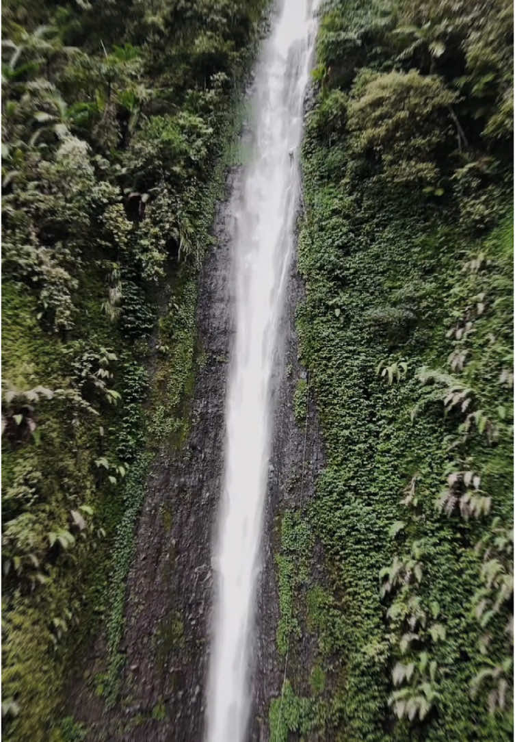 wishlist terpenuhi 100m curug semawur🥹🚀🌈 #canyoneering #canyoningkendal #curugsemawur #100m #canyoning #backflip @CANYONING CURUG SEMAWUR 