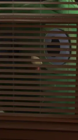 don’t look under your bed, you don’t know what you might find. ib: @Spencer Lackey  #horror #scary #halloween #duolingo #fyp