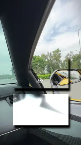 1 ngày đi chăn bò #lamborghini #huracan #aventador #xuhuong 