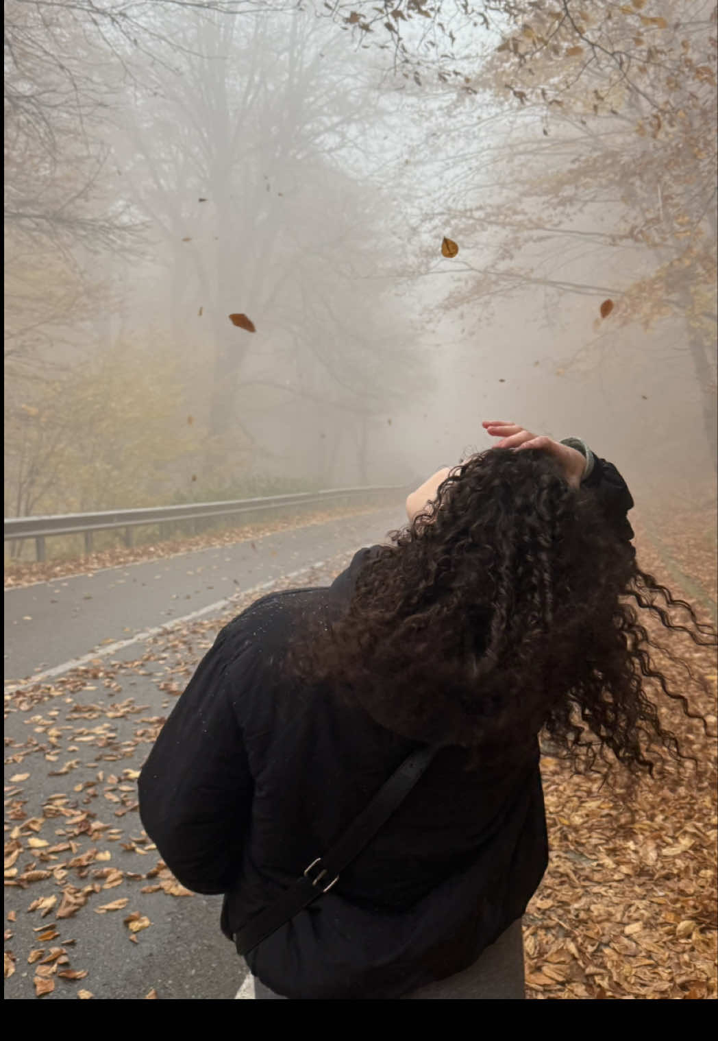 #forestsabaduri #sabaduri #forest #tbilisi #travel 