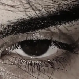 #дк #смн #данякашин #руслантушенцов #рек #fyp идея вроде моя