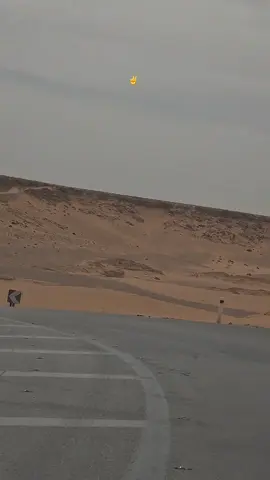 #المنيعة #المنيعة___وتحيآ__نآس__صحرى_💛 #غرداية #المنيعة_تمنراست_عين_صالح_اليزي_جانت #58 