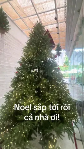 Mẫu mới 2025 ạ! Led hạt gạo