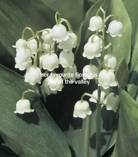 they are so gorgeous #fyp #pinterest #flower #lillyofthevalley #targetaudience 