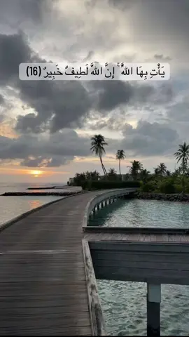 #creatorsearchinsights #قيام_الليل_يحقق_المعجزات_لك🌹🤍 #يأتي_بها_الله_إن_الله_لطيفً_خبير #اكسبلورexplore #الجنه 