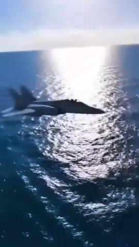 Speed, strength, and power of the United States🇺🇸 #us #usa #fighterjet #military #aviation 