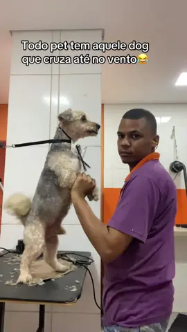 Sempre tem um😂 #petshop #dogs #cachorros 