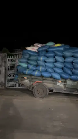 #CapCut vào việc thôi nào🤣