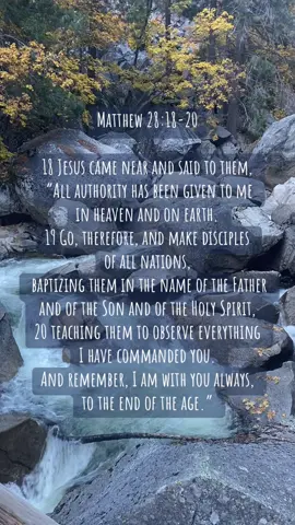 Matthew 28:18-20 18 Jesus came near and said to them, “All authority has been given to me in heaven and on earth. 19 Go, therefore, and make disciples of all nations, baptizing them in the name of the Father and of the Son and of the Holy Spirit, 20 teaching them to observe everything I have commanded you. And remember, I am with you always, to the end of the age.” #mightygod #jesuslovesyou #bibleverse #bibleversedaily #bibletok 