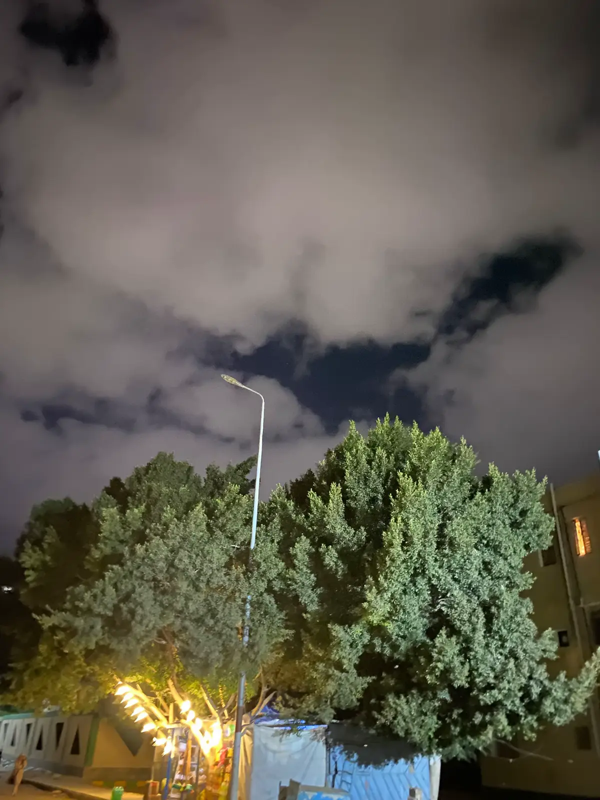 #تصويري_احترافي_الاجواء👌🏻🕊😴 #ليك______🖤___متابعه____اكسبلووور #مجرد________ذووووووق🎶🎵💞 #تصميم_فيديوهات🎶🎤🎬 #متابعة 