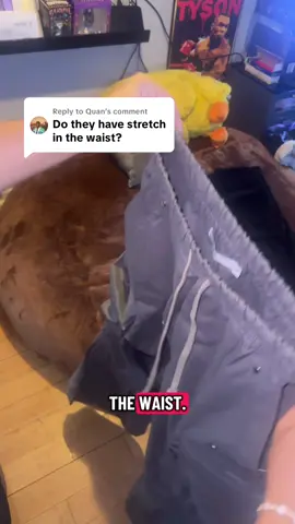 Replying to @Quan it has stretch in the waist band but that’s about it #cargopants #baggypants #tiktokshopblackfriday #tiktokshopcybermonday #tiktokshopcreatorpicks 