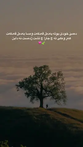 #explore #fyp #duhok #duhok_zaxo_amedi_semel_akre #kurdistan 