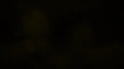 đm michos #cyrene #hsr #HonkaiStarRail #viral #CapCut 