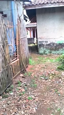 post malem drop gk? 🗿#pocox7pro #1080p60fps #noedit #edge #fyppppppppppppppppppppppp