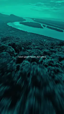 Rose Gray - I Don’t Speak French #lyrics #rosegray #newmusic 