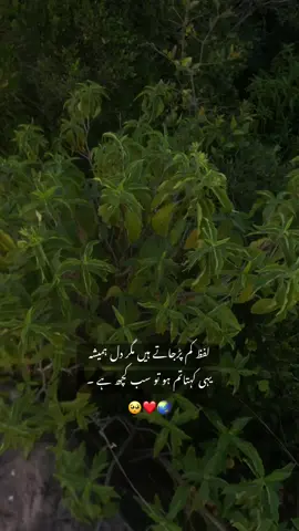 تم ہو تو سب کچھ ہے ۔🥺🫶💕