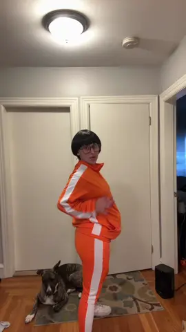 In girl world Halloween is the one night a year where a girl can dress like a total… #halloweencostume #meangirls #easyhalloweencostume #halloweenoutfit #vector 