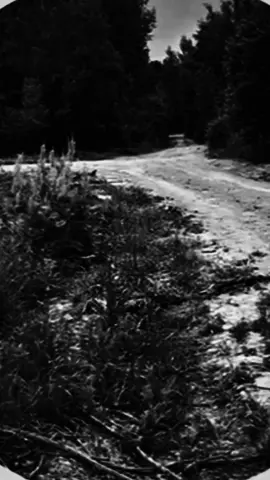 вайп 🇺🇦🇺🇦🇺🇦