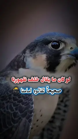 #الصحراء_الغربية 🇸🇩#الشعب_الصيني_ماله_حل😂😂 