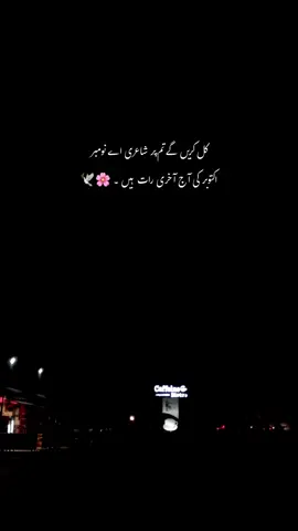 کل کریں گے تم پر شاعری اے نومبر ❤️‍🩹🌸:#repost #hmxii_ #sound #poetry #trendiing 