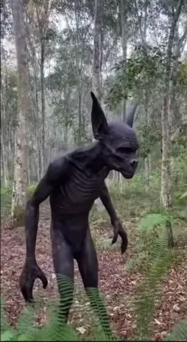 Nhìn gớm thật#sinhvathuyenbi#thiennhienhoangda#foryou#fyp 