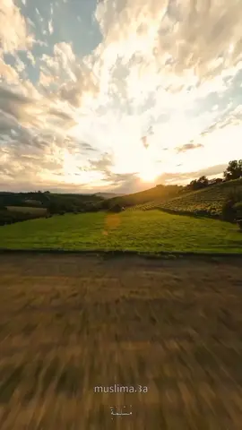 للجنة نسعى بنضال ❤️ . . . . #للجنة_نسعى #اناشيد_اسلامية #islamic_video #fyp 