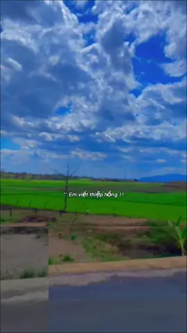 Tại sao em viết sai tên anh #nhactamtrang #nhacbuontamtrang #nhacbuon #tamtrang #tamtrangbuon 