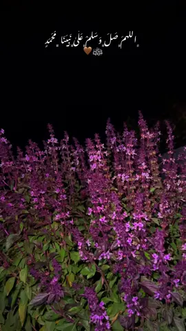 ﮼اللَهمَ﮼صَلَ﮼وَسَلَمْ﮼عَلَىٰ﮼نَبِيَنَا ﮼مُحَمَدٍ ﷺ🤎#سلاوات_لە_سەر_گیان_پێغمبەر_د_خ🤲📿 