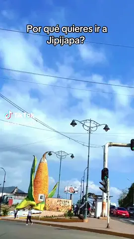 #LIVEIncentiveProgram #KeepItRealKeepItLIVE #PaidPartnership 