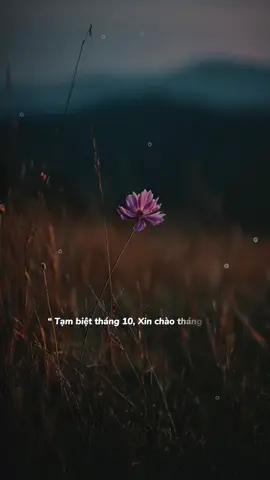 Tạm.biệt tháng 10 xin chào tháng 11...! #nhachaymoingay #minhminh.0907 #xuhuong2025 