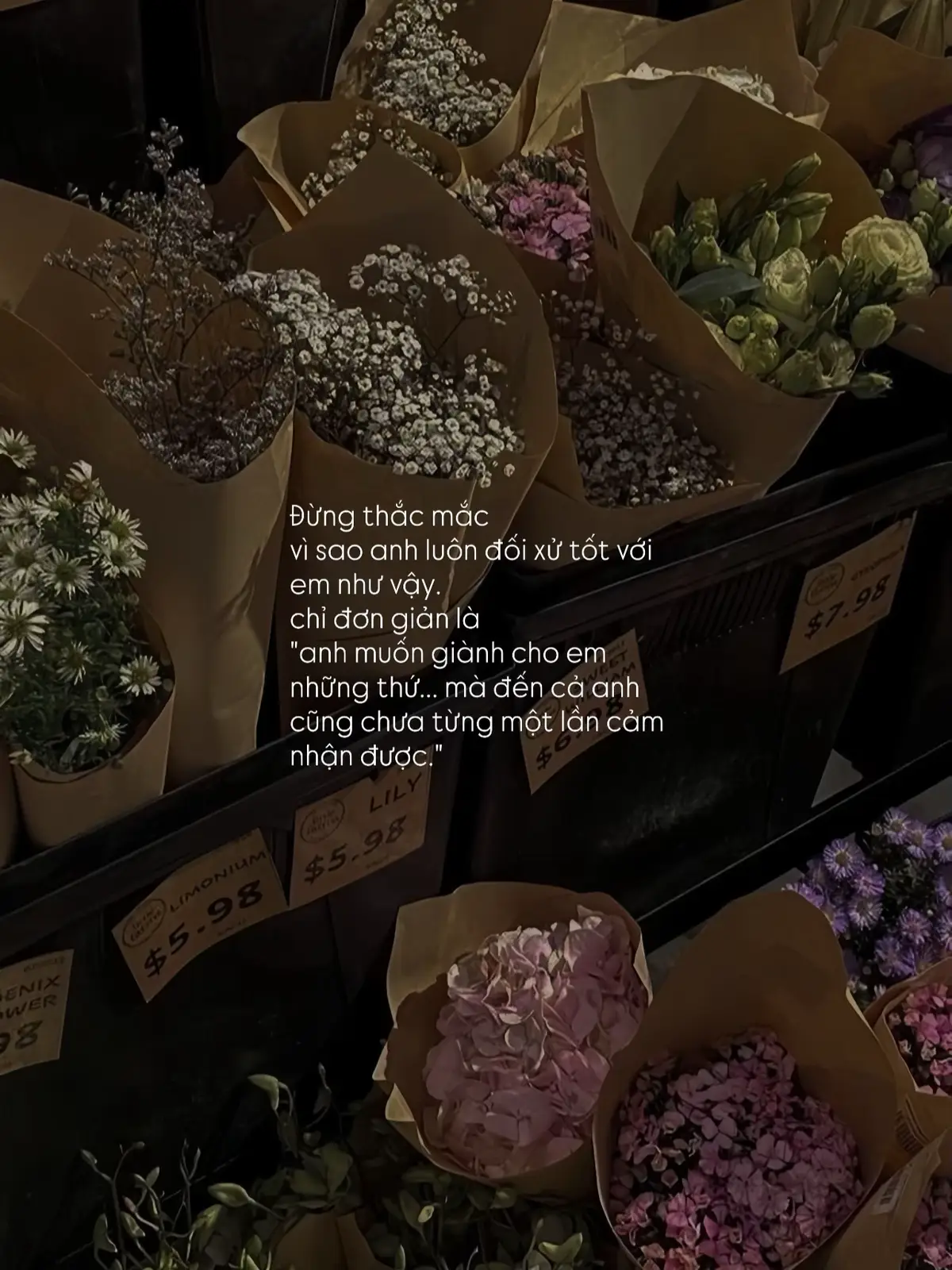 #Ndv_21th9 #tinhyeu #viral #foryou 