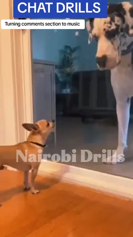 Why would you open the door? #fyp #reels #viral #tiktokcomments #trending 