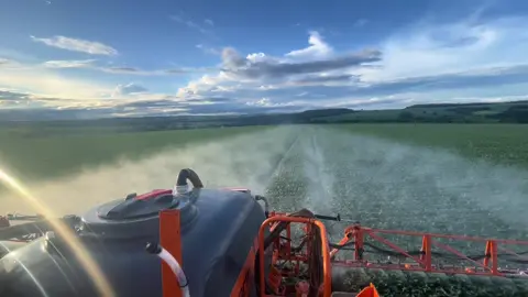 #galeradoveneno🇧🇷🌱🔥    #agronaopara  #mandeinroça #deusnocontrole                 