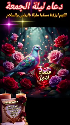 #🕋📿🕌regay_islam🌼🦋🤲 #دعاء ليلة الجمعة مباركة #جمعة_طيبة_مباركة_بذكر_الله🤲📚📿 #🕌📿🕌  ليله جمعه مباركه ..🕌📿🕌 💜 في مســــــــــــــــــــاء يوم الخميس 💚 و دخول ليله الجمعه المباركه 🌙 اللهم إنا نسألك اللطف فيما قضيت؛🌸 والمعونة على ما أمضيت، 🌸 اللهم سهل لنا الأسباب ، 🌸 وأكثر من حولنا الأحباب، 🌸        ولا تول علينا الأغراب ، 🌸         ولا تغـلق أمامنا الأبواب، 🌸                       وأجعل دعاءنا مستجاب🌙✨️💞   جمعه طيبه و مباركه علينا و عليكم         ✍💜🌸 💜✍❈━━✾✍️💜#مسائكم_سعادة_وعافية_وراحه_بال 