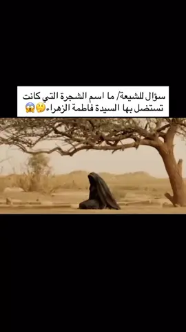 مااسم الشجرة #كربلاء_مدينة_العشق_والعاشقين 