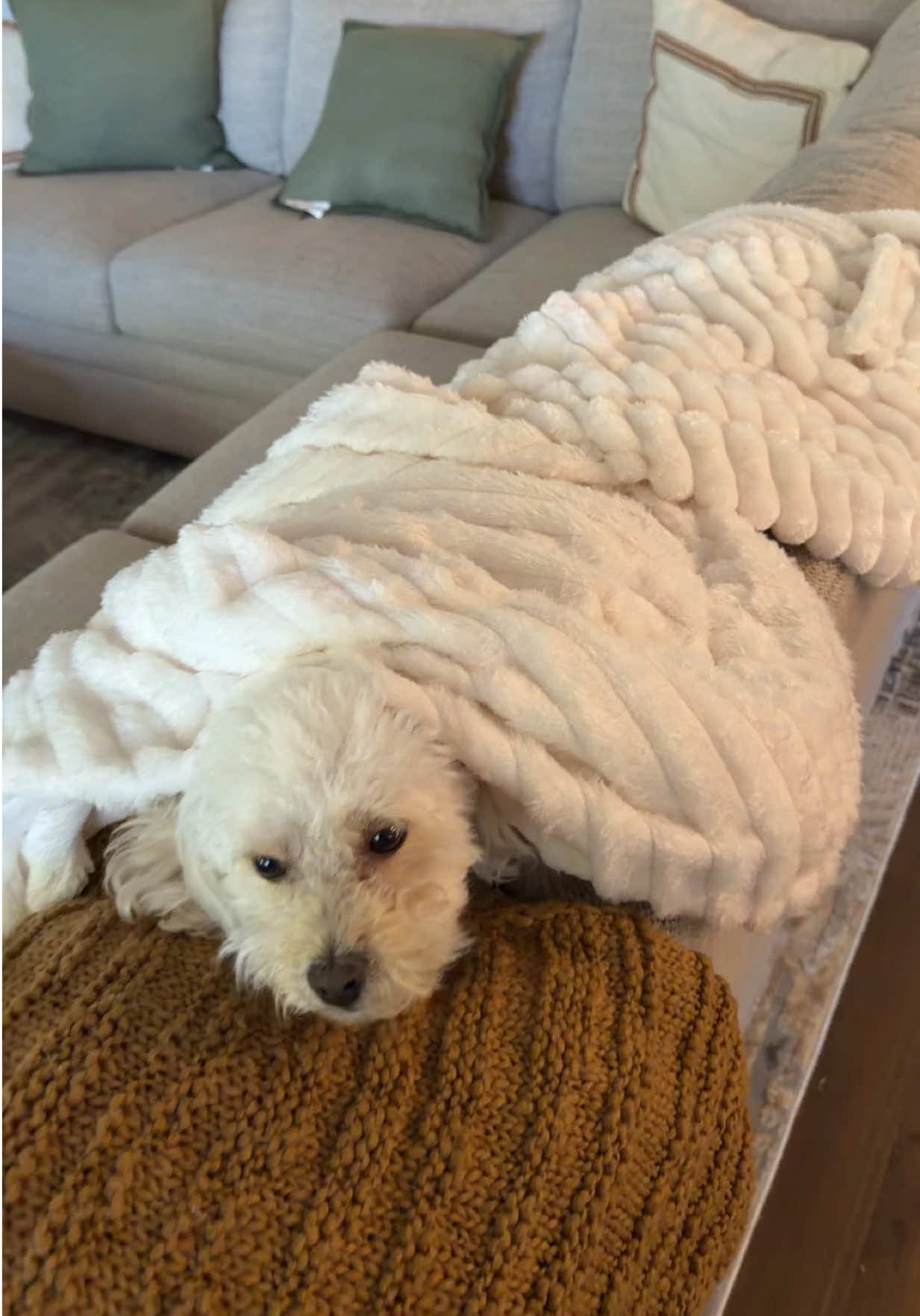 This is an awesome luxurious thickened striped blanket you can get now! Must see! #TikTokShopCreatorPicks #TikTokShopBlackFriday #TikTokShopCyberMonday 