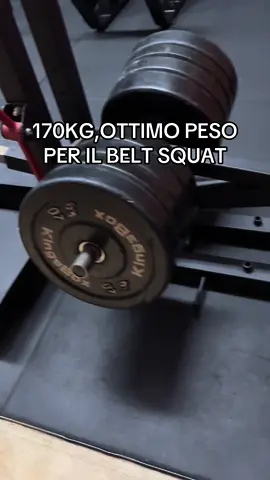 IG: mateisebastiaan  Programmi di allenamento e coaching in bio✅ Zec+ codice sconto “MONOBRACCIO” per polsini e integrazione  - - #perte #gymtokitalia #palestra #bodybuilding #schiena 