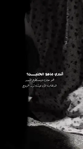 فحنيــني إليك اشتياق ولقياك كل مناي 🕊️#explore #iran #مشهد #الامام_الرضا_عليه_السلام #رضا_جان 