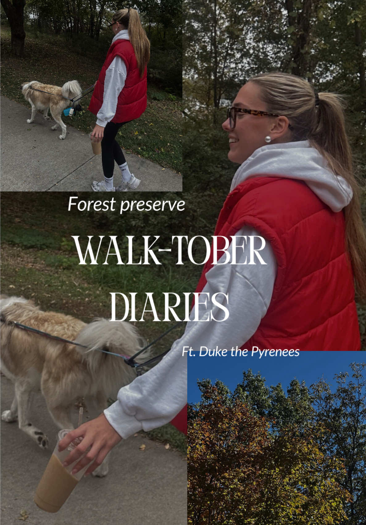 Fall forest walks > everything 🍂☕️ Taking Duke for a forest preserve stroll and soaking in all the cozy October energy. Forest trails, coffee in hand, and that red-vest season glow. #WalkTober #withalainawells #CozySeason #FallOOTD #DogTok   
