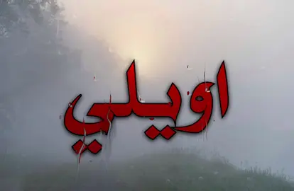 اويلي من رحت وخذت الروح #اغاني_مسرعه💥 #اغاني_عراقيه #foryoupage #fyppppppppppppppppppppppp 