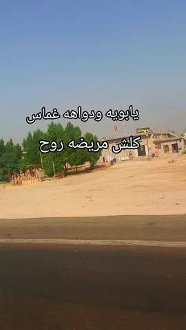 بت شاميه #لايك_متابعه_اكسبلور❤️❤️❤️ 