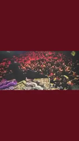 #الشعب_الصيني_ماله_حل😂😂 #فاقد_الموسوي 