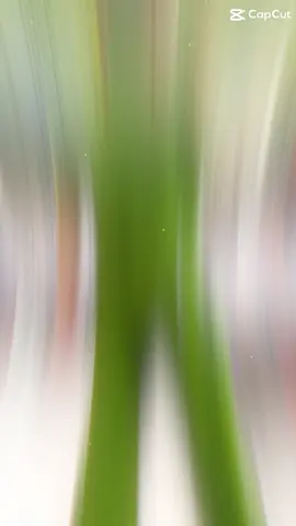 Just for funnn#xuhuongtiktok #ilovetiktok 