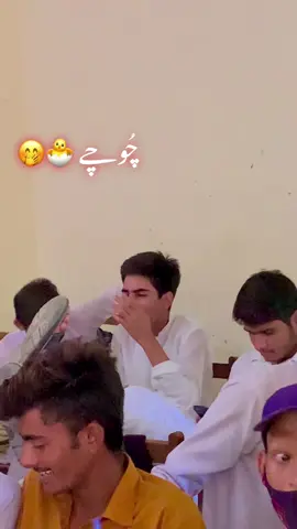 Choochy 🐣🐥 #funny #😂😂😂 #foryoupage #viewsproblem 