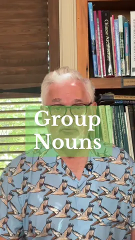 Because architects couldn’t let animals have all the cool group names. #groupnouns #areyouarhinosceros #architecture #BookTok 